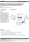 Cover page: Methods for Enrichment and Assignment of N-Acetylglucosamine Modification Sites