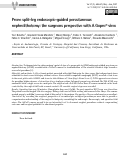 Cover page: Prone split-leg endoscopic-guided percutaneous nephrolithotomy: the surgeons perspective with A Gopro® view