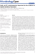 Cover page: XatA, an AT‐1 autotransporter important for the virulence of Xylella fastidiosa Temecula1