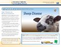 Cover page: Sheep - From the Animal's Point of View, 4: Sheep Disease