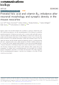 Cover page: Prenatal folic acid and vitamin B12 imbalance alter neuronal morphology and synaptic density in the mouse neocortex