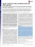 Cover page: Gpr161 anchoring of PKA consolidates GPCR and cAMP signaling