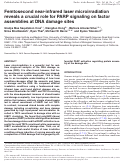 Cover page: Femtosecond near-infrared laser microirradiation reveals a crucial role for PARP signaling on factor assemblies at DNA damage sites