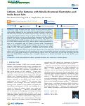 Cover page: Lithium–Sulfur Batteries with Micelle-Structured Electrolytes and Imide-Based Salts