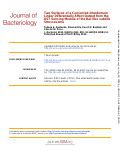 Cover page: Two surfaces of a conserved interdomain linker differentially affect output from the RST sensing module of the Bacillus subtilis stressosome.