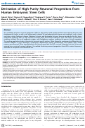 Cover page: Derivation of High Purity Neuronal Progenitors from Human Embryonic Stem Cells