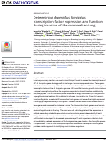 Cover page: Determining Aspergillus fumigatus transcription factor expression and function during invasion of the mammalian lung