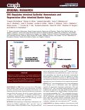 Cover page: DR3 Regulates Intestinal Epithelial Homeostasis and Regeneration After Intestinal Barrier Injury