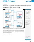 Cover page: Isolation of human cutaneous immune cells for single-cell RNA sequencing.