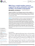 Cover page: RNA from a simple-tandem repeat is required for sperm maturation and male fertility in Drosophila melanogaster