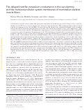 Cover page: The delayed rectifier potassium conductance in the sarcolemma and the transverse tubular system membranes of mammalian skeletal muscle fibers