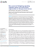 Cover page: Non-canonical Hedgehog signaling regulates spinal cord and muscle regeneration in Xenopus laevis larvae