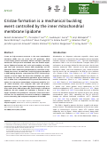 Cover page: Cristae formation is a mechanical buckling event controlled by the inner mitochondrial membrane lipidome