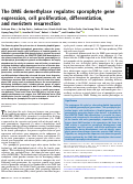 Cover page: The DME demethylase regulates sporophyte gene expression, cell proliferation, differentiation, and meristem resurrection