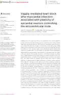 Cover page: Vagally-mediated heart block after myocardial infarction associated with plasticity of epicardial neurons controlling the atrioventricular node