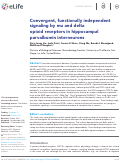 Cover page: Convergent, functionally independent signaling by mu and delta opioid receptors in hippocampal parvalbumin interneurons.