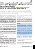 Cover page: PACAP is a pathogen-inducible resident antimicrobial neuropeptide affording rapid and contextual molecular host defense of the brain