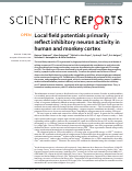 Cover page: Local field potentials primarily reflect inhibitory neuron activity in human and monkey cortex