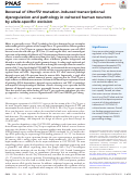 Cover page: Reversal of C9orf72 mutation-induced transcriptional dysregulation and pathology in cultured human neurons by allele-specific excision.