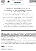 Cover page: Formation of an ultracarbonaceous Antarctic micrometeorite through minimal aqueous alteration in a small porous icy body