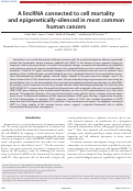 Cover page: A lincRNA connected to cell mortality and epigenetically-silenced in most common human cancers