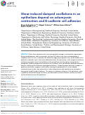 Cover page: Shear-induced damped oscillations in an epithelium depend on actomyosin contraction and E-cadherin cell adhesion