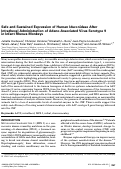 Cover page: Safe and Sustained Expression of Human Iduronidase After Intrathecal Administration of Adeno-Associated Virus Serotype 9 in Infant Rhesus Monkeys