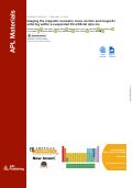 Cover page: Imaging the magnetic nanowire cross section and magnetic ordering within a suspended 3D artificial spin-ice