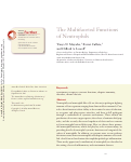 Cover page: The Multifaceted Functions of Neutrophils