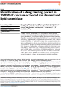 Cover page: Identification of a drug binding pocket in TMEM16F calcium-activated ion channel and lipid scramblase