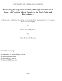 Cover page: Promoting Energy Sustainability through Fundamental Study of Precious Metal Catalysts for Fuel Cells and Electrolyzers