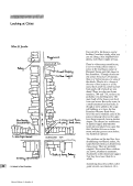 Cover page: Looking at Cities