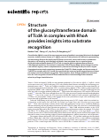 Cover page: Structure of the glucosyltransferase domain of TcdA in complex with RhoA provides insights into substrate recognition