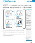 Cover page: Protocol to generate human liver spheroids to study liver fibrosis induced by metabolic stress