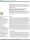 Cover page: Spatially distributed infection increases viral load in a computational model of SARS-CoV-2 lung infection