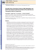 Cover page: Prenatal caloric restriction enhances DNA methylation and MeCP2 recruitment with reduced murine placental glucose transporter isoform 3 expression