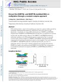 Cover page: Dissect the DNMT3A- and DNMT3B-mediated DNA Co-methylation through a Covalent Complex Approach