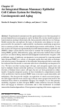 Cover page: An Integrated Human Mammary epithelial Cell Culture System for Studying Carcinogenesis and Aging