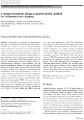 Cover page: A human brainstem glioma xenograft model enabled for bioluminescence imaging