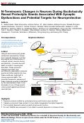 Cover page: N-Terminomic Changes in Neurons During Excitotoxicity Reveal Proteolytic Events Associated With Synaptic Dysfunctions and Potential Targets for Neuroprotection.