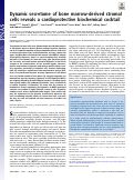 Cover page: Dynamic secretome of bone marrow-derived stromal cells reveals a cardioprotective biochemical cocktail.