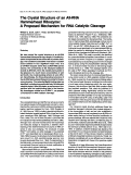 Cover page: The crystal structure of an AII-RNAhammerhead ribozyme: A proposed mechanism for RNA catalytic cleavage