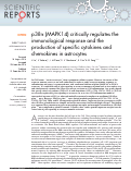 Cover page: p38α (MAPK14) critically regulates the immunological response and the production of specific cytokines and chemokines in astrocytes