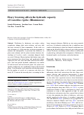 Cover page: Heavy browsing affects the hydraulic capacity of Ceanothus rigidus (Rhamnaceae)