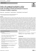 Cover page: Heads or tails: exaggerated morphologies in relation to the use of large bamboo internodes in two lizard beetles, Doubledaya ruficollis and Oxylanguria acutipennis (Coleoptera: Erotylidae: Languriinae)