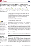 Cover page: Human Brain Microvascular Endothelial Cells Exposure to SARS-CoV-2 Leads to Inflammatory Activation through NF-κB Non-Canonical Pathway and Mitochondrial Remodeling