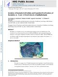 Cover page: Isolation of bastadin-6-O-sulfate and expedient purifications of bastadins-4, -5 and -6 from extracts of Ianthella basta