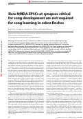 Cover page: Slow NMDA-EPSCs are not required for song learning at two synapses critical for song development in zebra finches