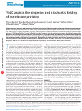 Cover page: YidC assists the stepwise and stochastic folding of membrane proteins