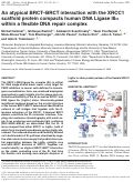 Cover page: An atypical BRCT–BRCT interaction with the XRCC1 scaffold protein compacts human DNA Ligase IIIα within a flexible DNA repair complex